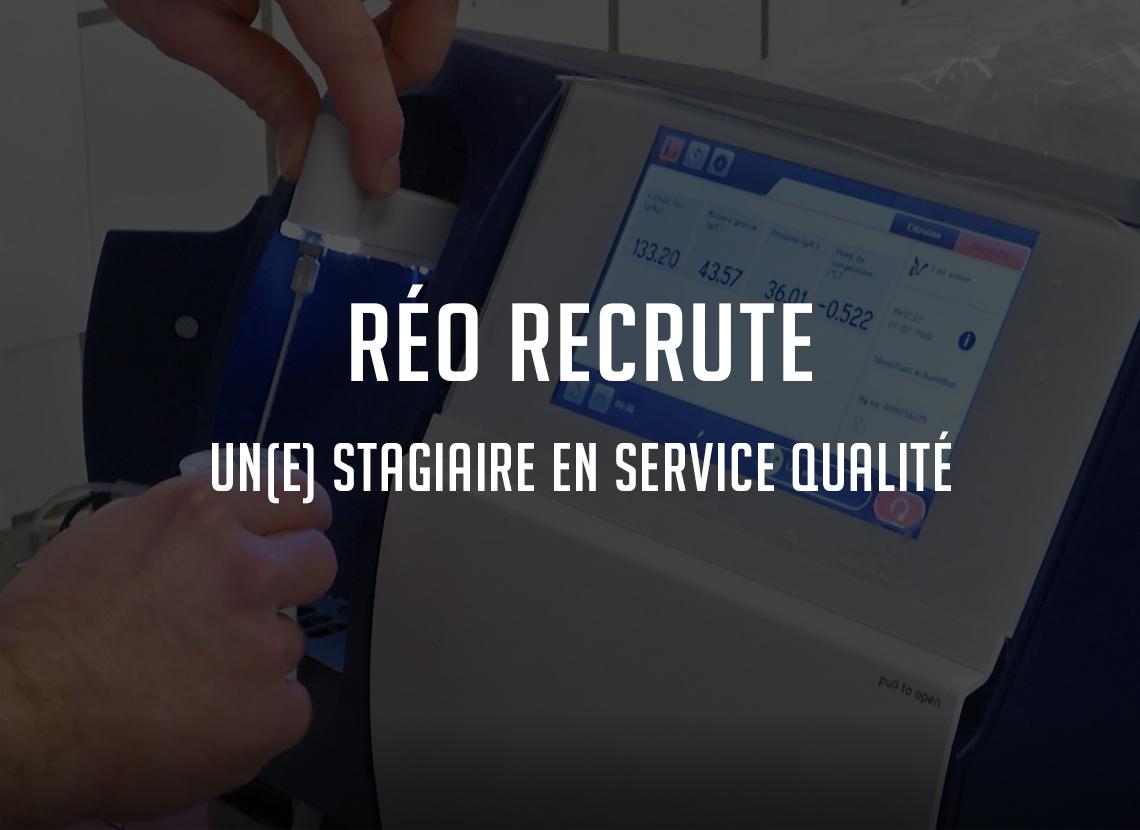 Recrutement stage fromagerie réo normandie manche lessay