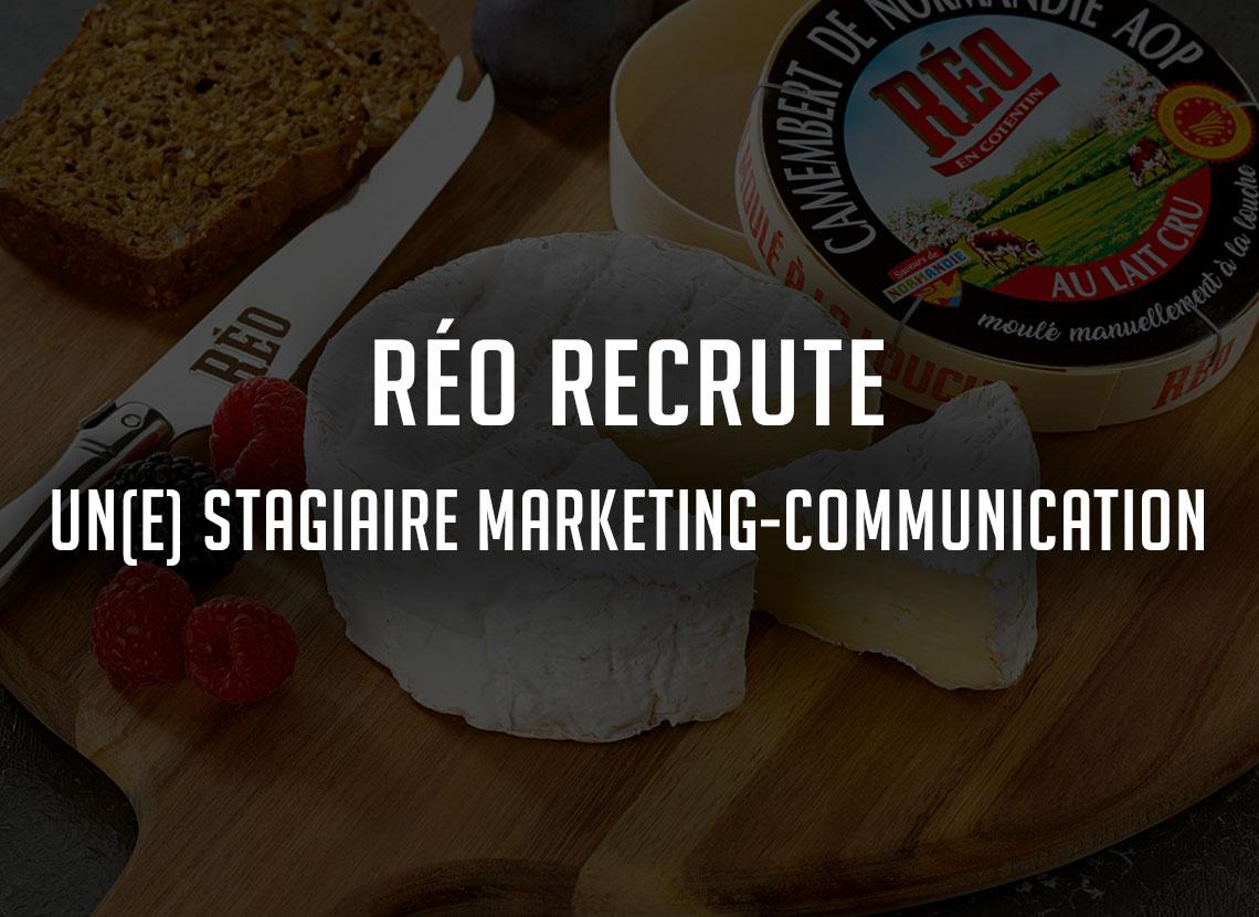 Réo recrute un stagiaire marketing-communication