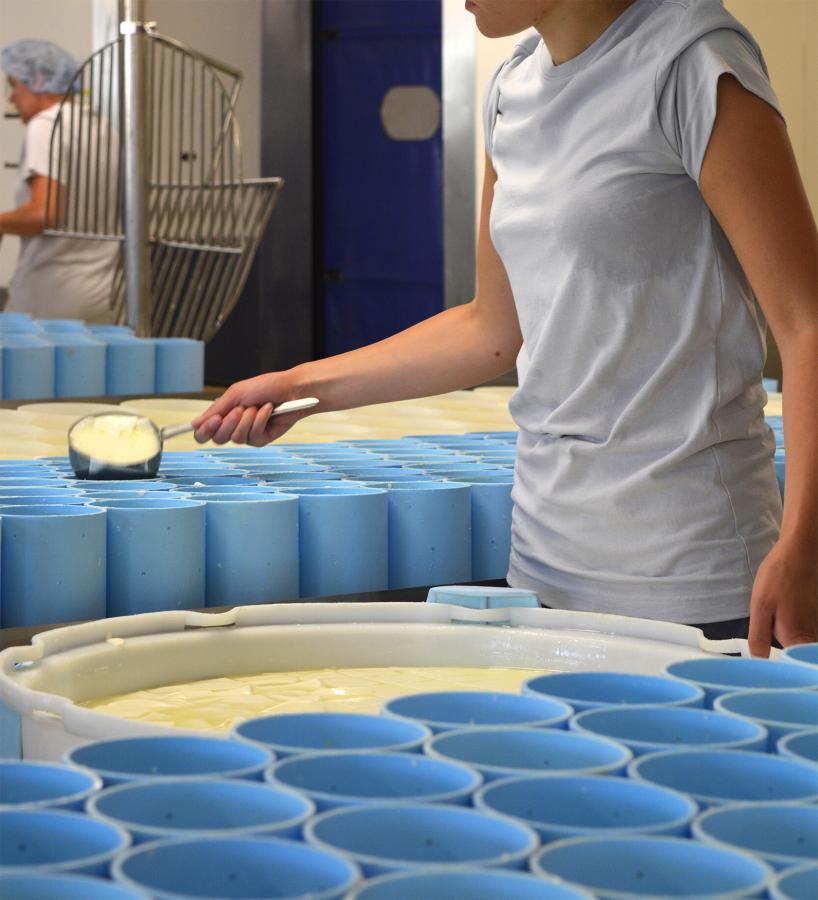 Camembert de Normandie AOP Réo moulé à la louche à la main